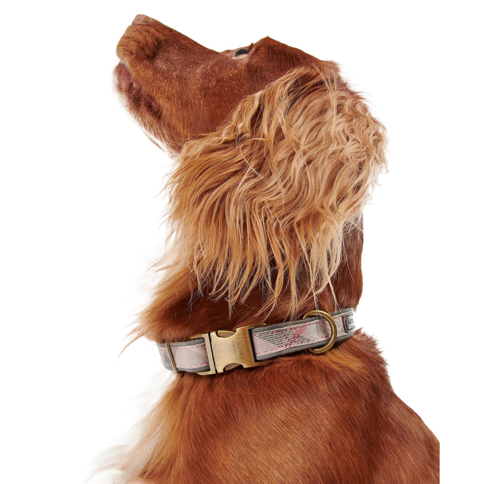 Barbour dog collars clearance